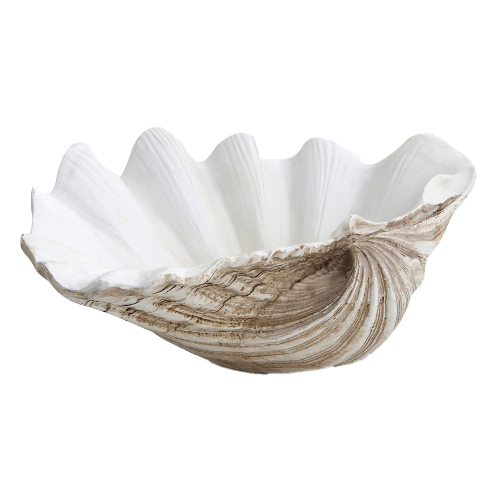 Concha Oceana