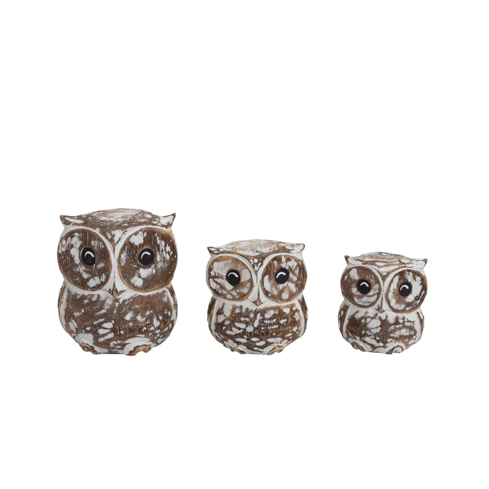 Decoração Oliver Owls