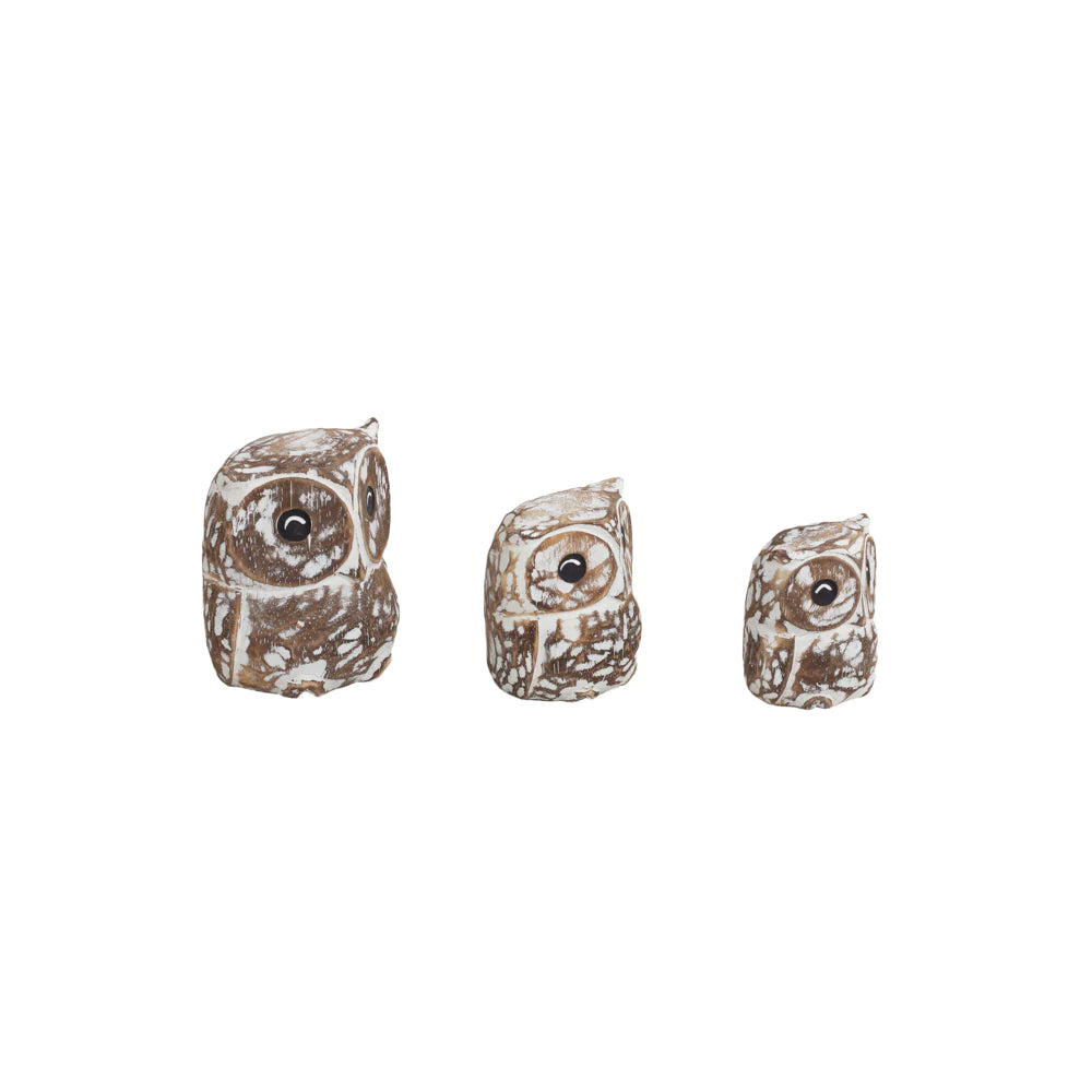 Decoração Oliver Owls