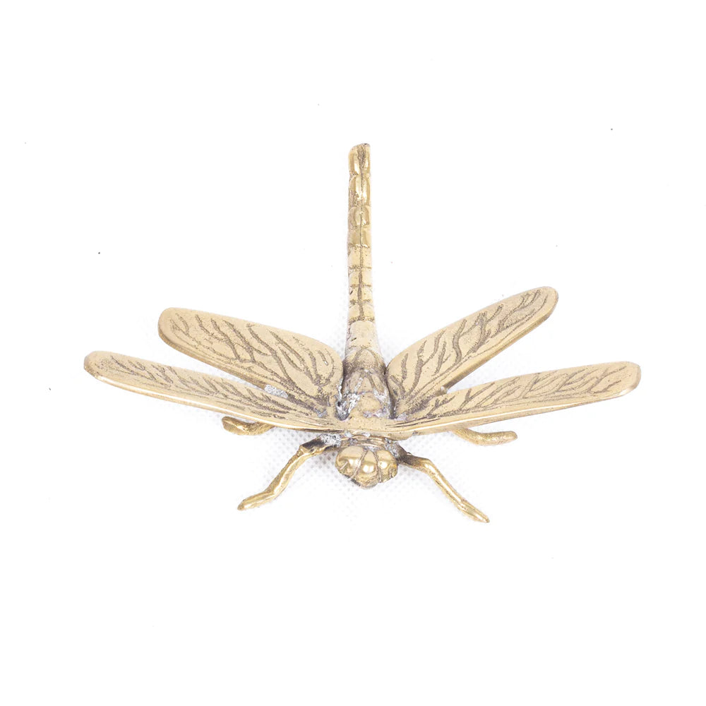 Decoração Dragonfly