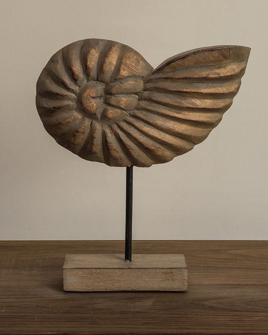 Decoração Concha White Wash