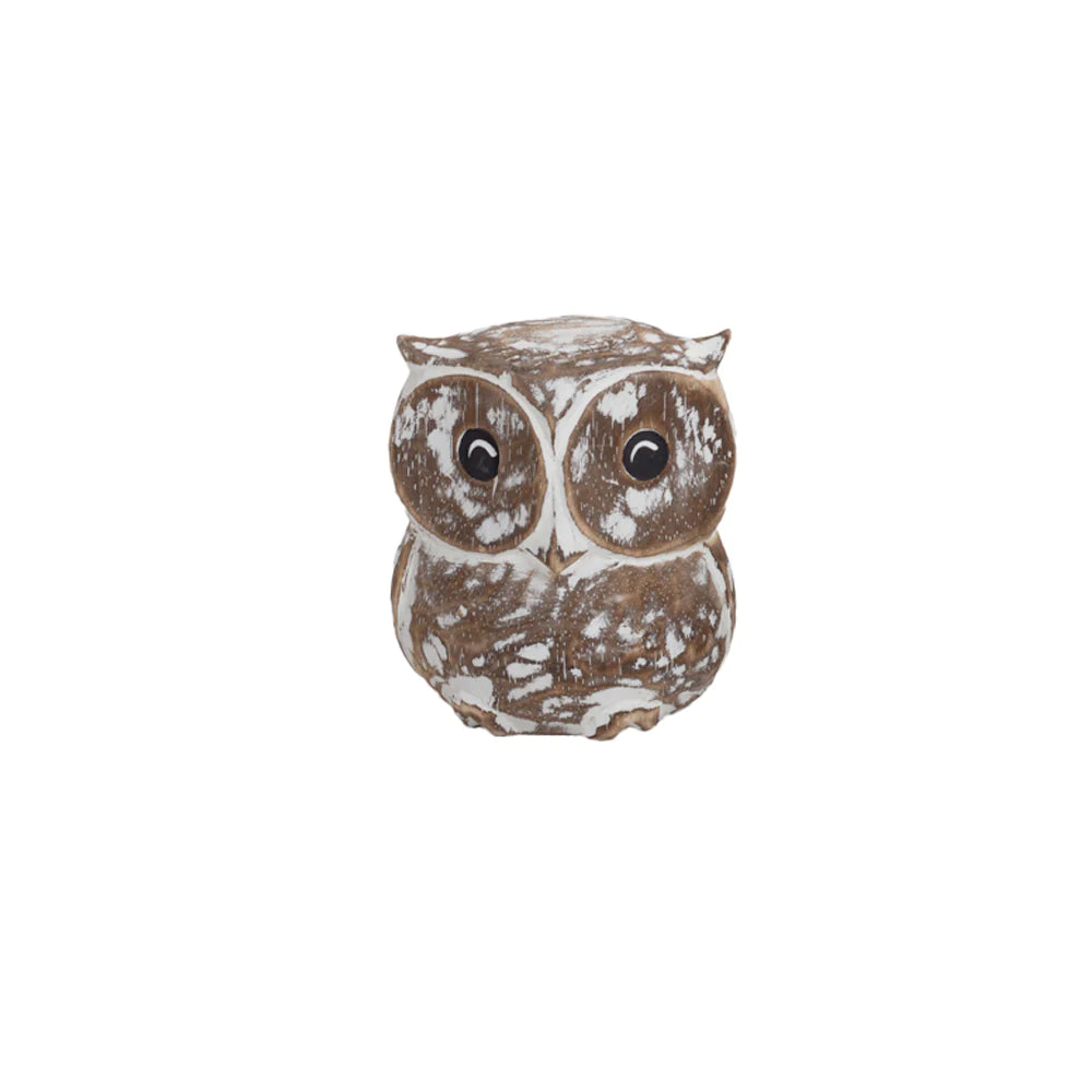 Decoração Oliver Owls